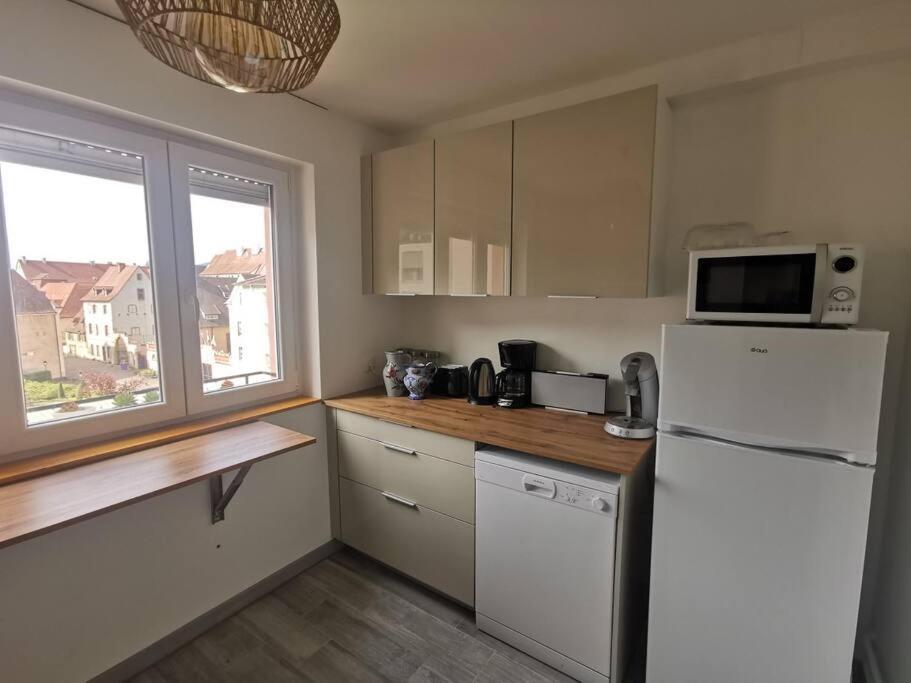 Logement Colmar Centre Avec Parking Εξωτερικό φωτογραφία